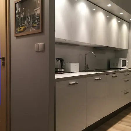 Super-apartamenty Center Z Wanna 포즈난